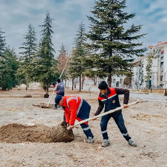 Afyonkarahisar Belediyesi'nden Yeşil Doku Atağı